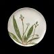 Dessert plate plantago