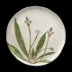 Dessert plate plantago