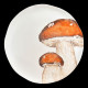 Mushroom Dinner Plate Set for 8