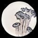 Mushroom Dinner Plate Set for 8