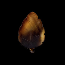 Coupelle corne feuille 7,5cm
