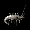 Langouste sculpture en fonte argentée Mauro Manetti  L 43 x 30 cm H 44 cm