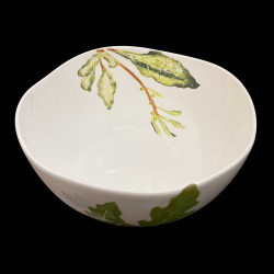 Saladier plantes comestibles