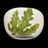 Saladier plantes comestibles