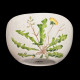 Saladier plantes comestibles