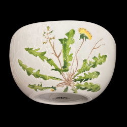 Saladier plantes comestibles