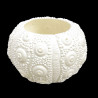 White round porcelain urchin candle holder