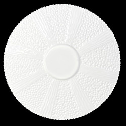 Tasse et Sous-tasse Oursin