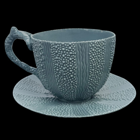 Tasse et Sous-tasse Oursin Celadon