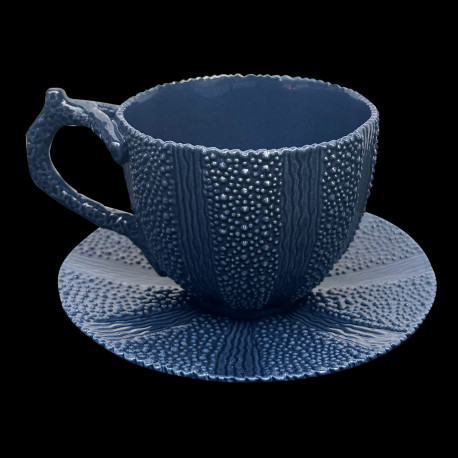 Sage Urchin cup and saucer