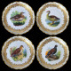 12 assiettes décor d'oiseaux porcelaine de la manufacture Royal Vienna, fin XIXe