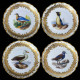 12 assiettes décor d'oiseaux porcelaine de la manufacture Royal Vienna, fin XIXe