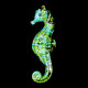 Décoration hippocampe turquoise