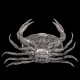 Plat à caviar en forme de crabe par Piero Figura