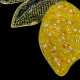 Beaded lemon