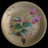 série de 11 Assiettes XIX D 23 cm 