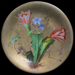 série de 11 Assiettes XIX D 23 cm 