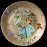 série de 11 Assiettes XIX D 23 cm 