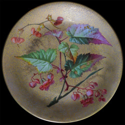 série de 11 Assiettes XIX D 23 cm 