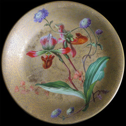série de 11 Assiettes XIX D 23 cm 
