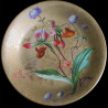 série de 11 Assiettes XIX D 23 cm 
