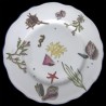 Assiette de table poissons porcelaine de Limoges