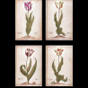 Verre à eau collection Tulipmania