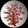 Majolica coral gorgonian large round dish