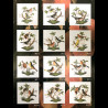 Assiette de table 25cm Rothschild Herend