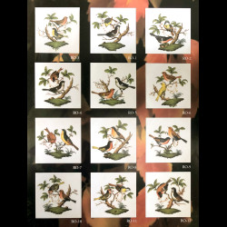 Large breakfast cup and saucer  Rothschild Herend