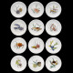 12 dinner plates shellfishes "Grands Crustacés", Gien earthenware, 1961