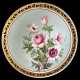 11 assiettes Fleurs en porcelaine Minton, 1874-1884