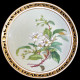 11 dinner plates Flowers in Minton porcelain, 1874-1884