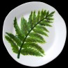 Majolica fern dessert plate