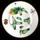 Vegetables Dinner Plate Creil & Montereau 19th century