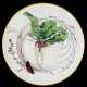 Vegetables Soup Plate Creil & Montereau 19th century