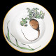 Vegetables Soup Plate Creil & Montereau 19th century