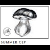 Verre tumbler en cristal Mushrooms